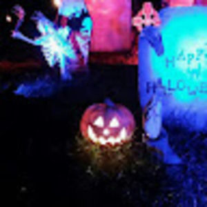 Meet your Posher, Todd